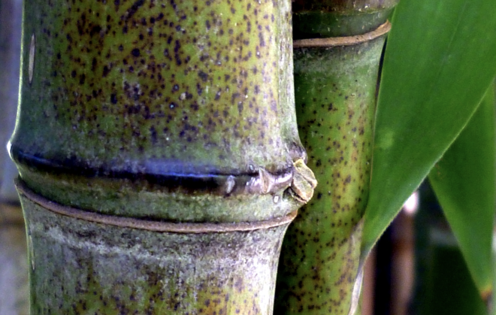 screenshot 2025 12 10 at 16.46.38