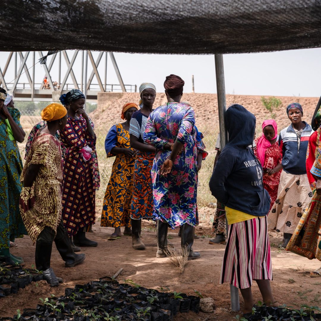 24 kerry lemon shea ak 27